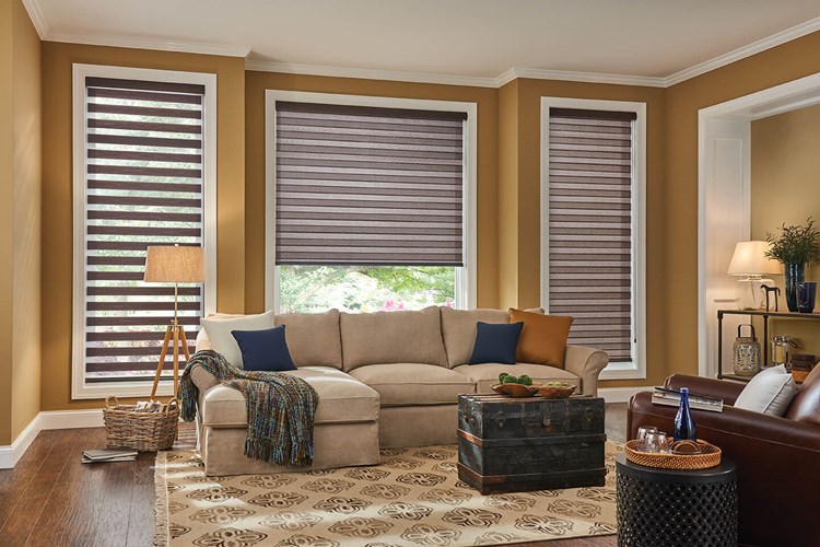 In the cozy living room, a beige sofa complements Zebra Blind Range B and vibrant accent pillows. A stylish floor lamp stands near a woven basket, while a decorative rug adds color beneath. A large trunk serves as the coffee table, completing this charming space's inviting aesthetic.