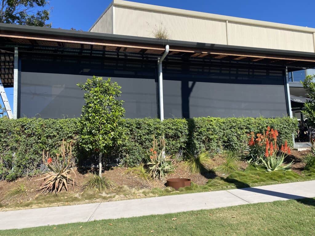 A sidewalk runs past a modern building with dark screened windows, a small hedge, succulents, and flowering plants under a clear blue sky.