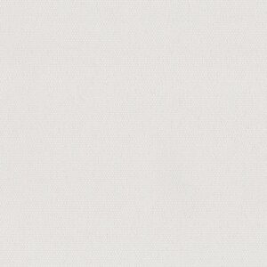 A plain white textured surface, possibly fabric or paper, with a subtle dotted pattern evenly distributed across the image.