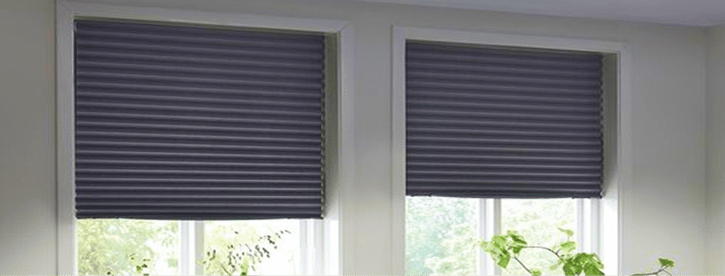 Two side-by-side windows with closed dark pleated shades; some green plants are visible on the windowsill.